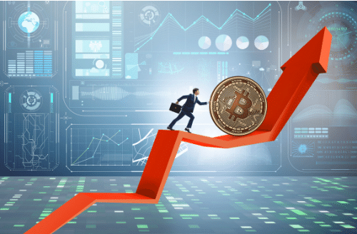 fondo di investimento bitcoin bitcointalk ins ecosistema