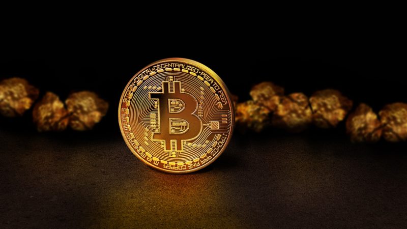 Il Bitcoin è attualmente l’unica criptovaluta forte del mercato