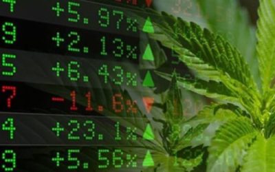 Sempre più banche al servizio dell’industria della cannabis legale