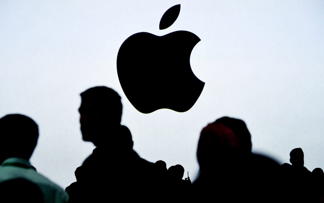 Azioni Apple da 225 USD a inizio anno a 335 USD oggi: news sulla quotazione