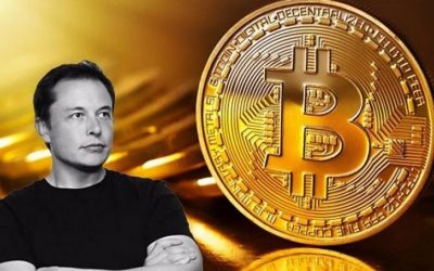 Truffa Bitcoin Elon Musk: utenti truffati con indirizzi falsi