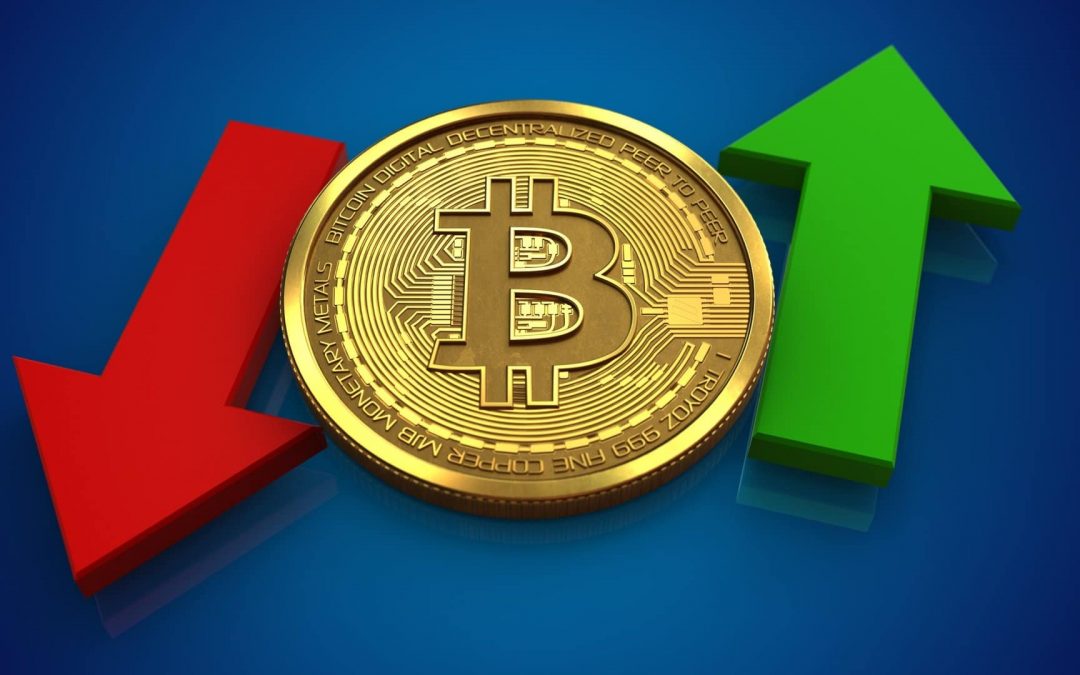 bitcoin future profit calculator carteira btc