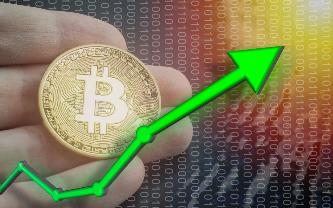 What is the exchange rate of bitcoin to dollar