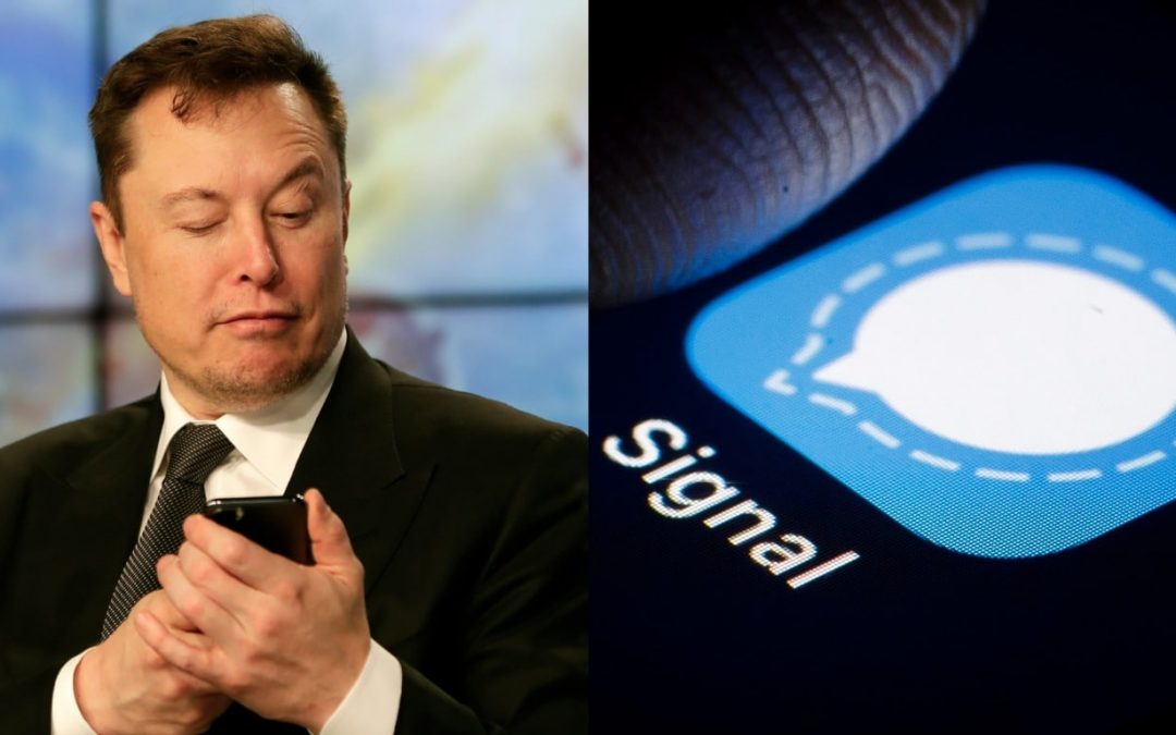 Azioni Signal Advance in aumento del 5.675% dopo un tweet di Elon Musk