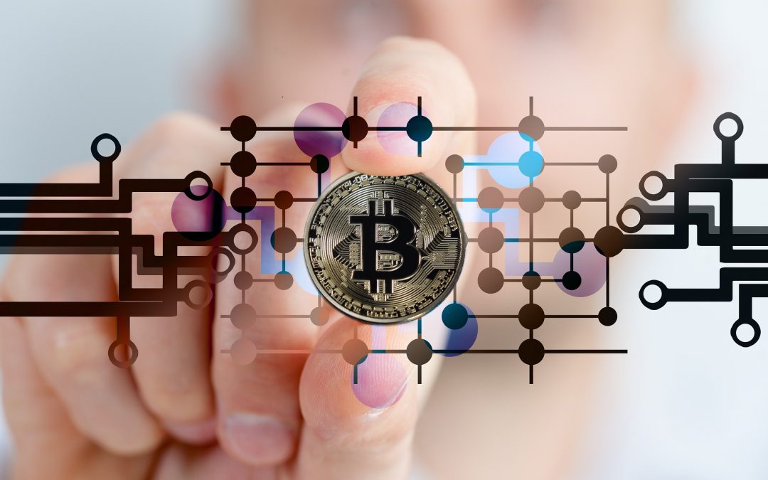 Investire in Bitcoin, il 5% dei CFO aziendali prevede di acquistare BTC nel 2021