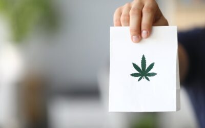 Migliori Azioni nel settore Cannabis: Sundial Growers o Tilray?