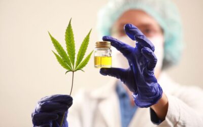 Tilray e Aphria: la fusione è completata