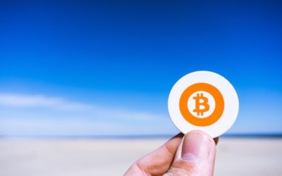 Come funzionano i bitcoin: la crypto crolla ancora, ma l’interesse sale