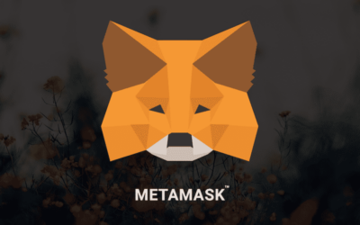 MetaMask piattaforma: cos’è e come funziona? Recensione e opinioni