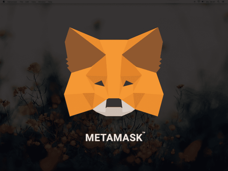 metamask piattaforma guida