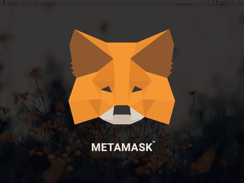MetaMask piattaforma: cos’è e come funziona? Recensione e opinioni